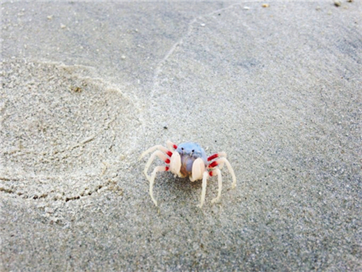 С�з ����������