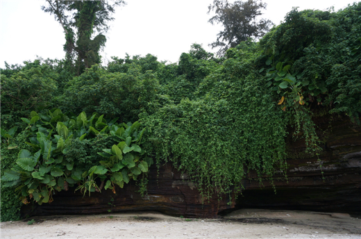 ���ލu ����������