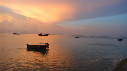 ���ލuϦ�(y��ng) �������ξW(w��ng)