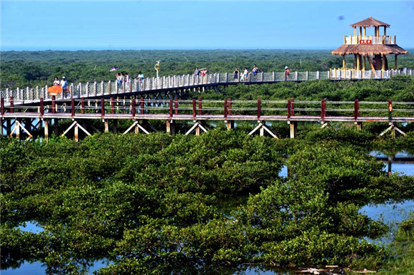 �t���� ��������