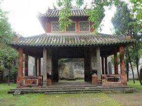 ����ͤ������������