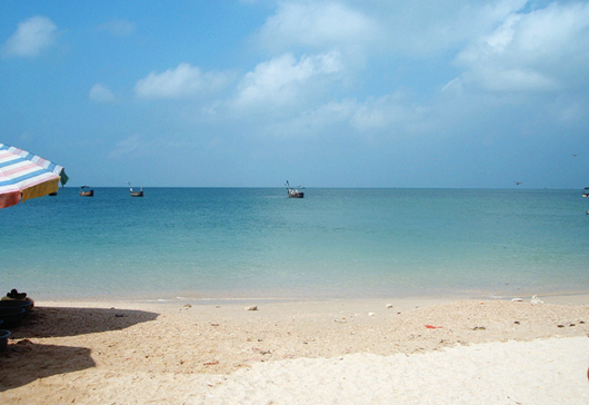 ʯ�ݿ� �V����������