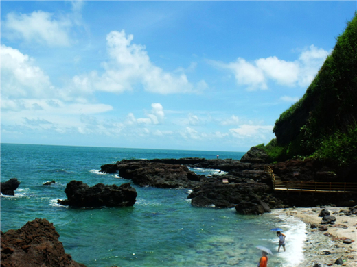 ���ލu �V���������ξW(w��ng)