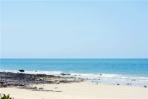 ɳ�� �V���������ξW