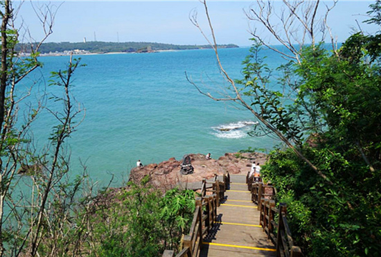 ���ލu �V���������ξW