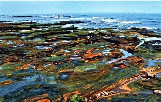 �V������������ �V���������ξW(w��ng)