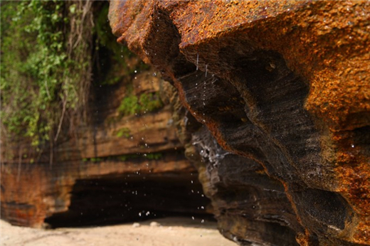 �V������������ �V���������ξW(w��ng)