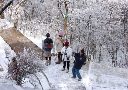 �V���������ξW(w��ng) �V������������