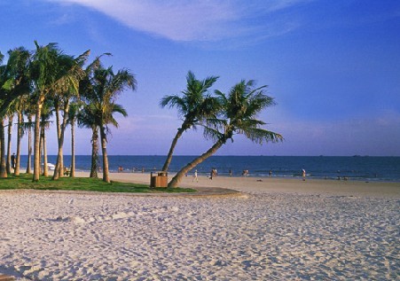 �V������������