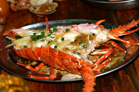 �V������������