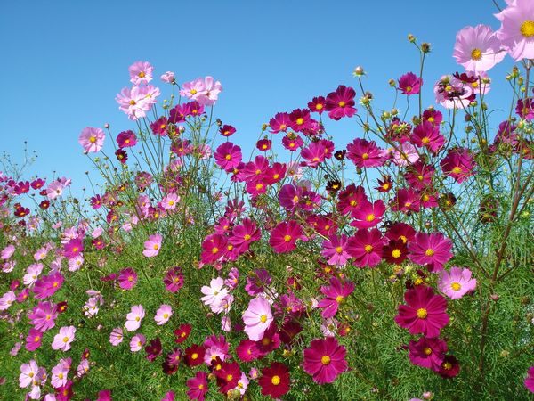 �V������������