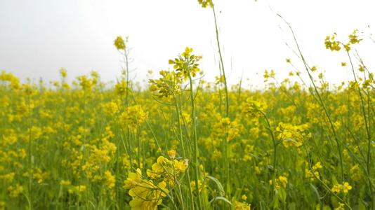 �V������������