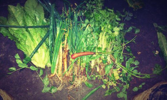 �V������������