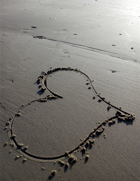 �V������������ ������ҵĳ���