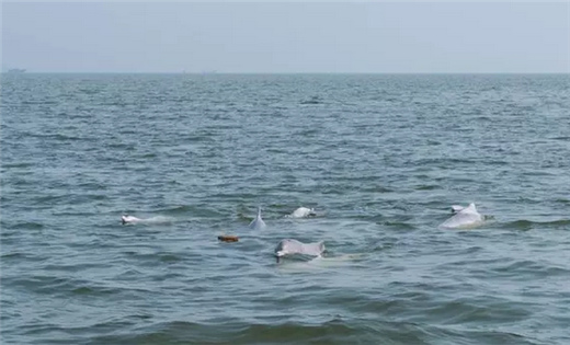 �V������������ ����