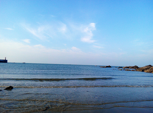 �����������������V������������