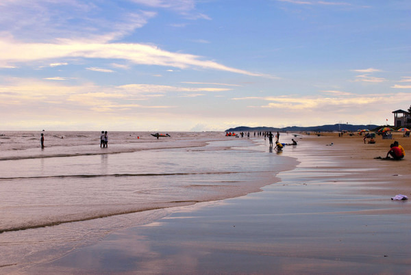 �V������������ ���ϱ���