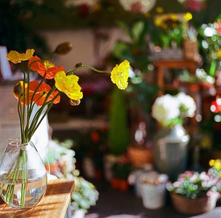 �V������������ ������Խ������