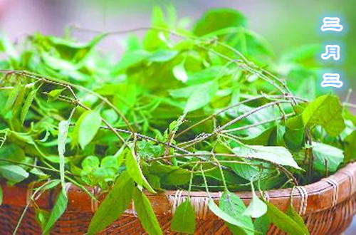 �V������������ �����uʺ��