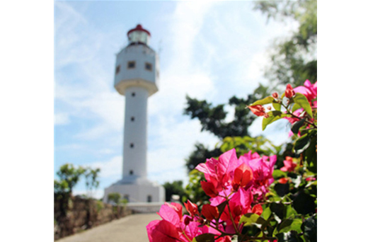 �V������������ ���ލu����