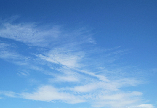 �V������������ �������ލu