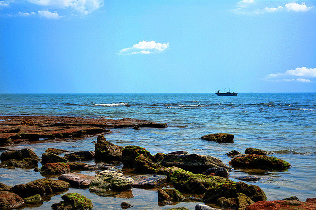 �V������������ �������ι���