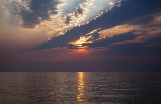 �V������������ ���ލu���ι���