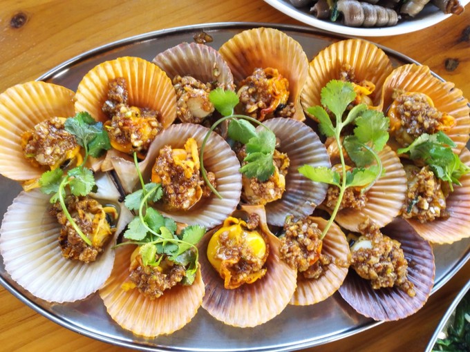 �������Σ��V���������ξW(w��ng)