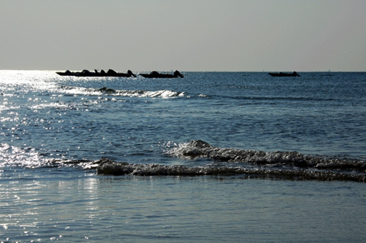 �����������V���������ξW(w��ng)