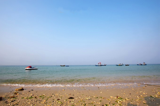 �����������V������������