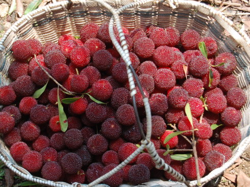 �������Σ��V������������