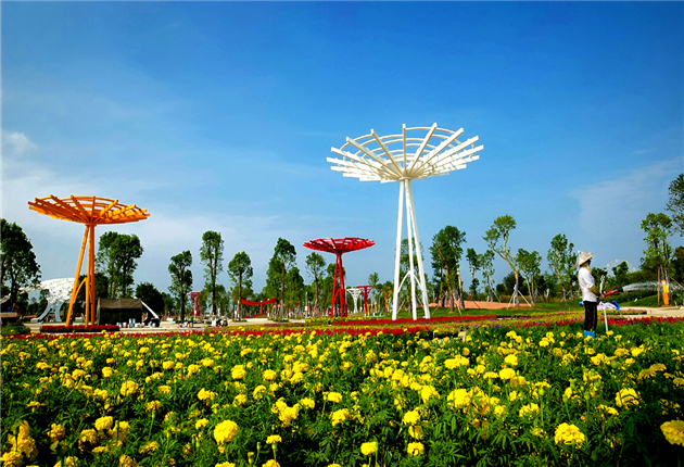 �����������V������������