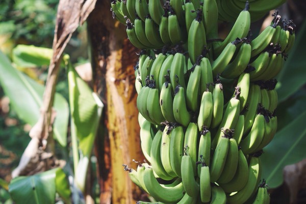 �V������������ ���� ���ލu����