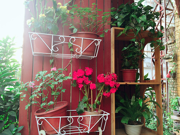 �V������������ ��������