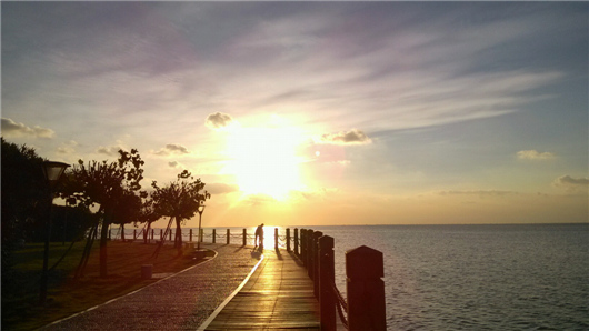 �V������������ ��������