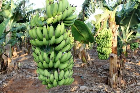 ���ލu���V���������ξW(w��ng)