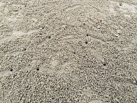 �����������V������������