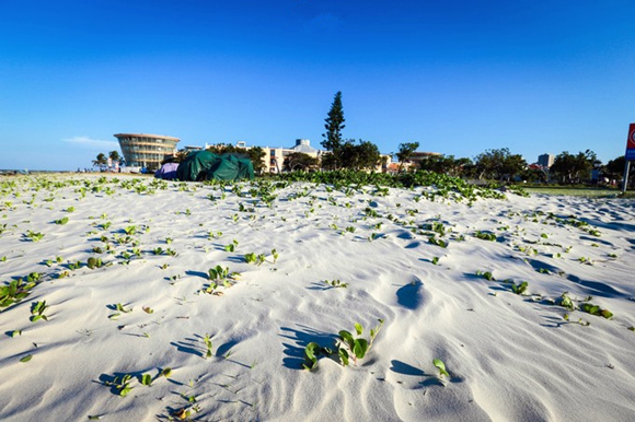 �������Σ��V������������