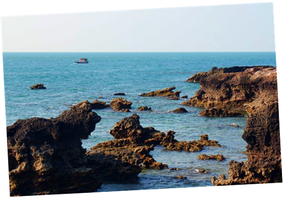 �������Σ��V������������