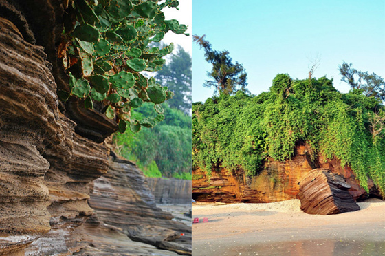 �����������V������������