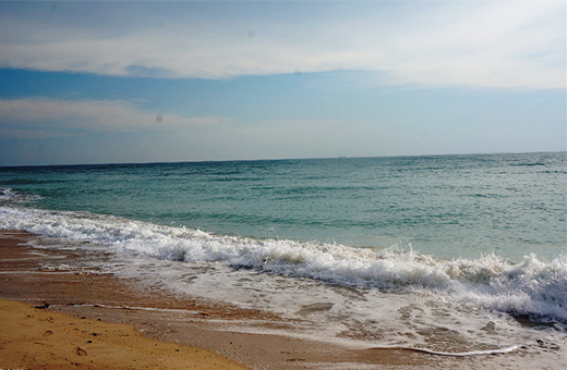 �������ލu���V������������