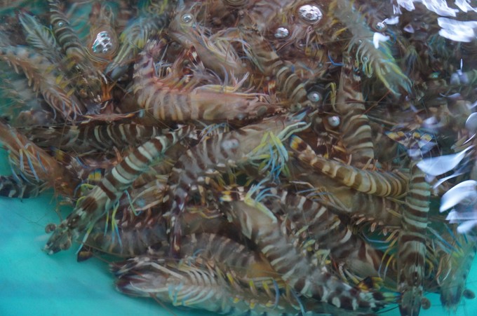 �������ލu���V������������