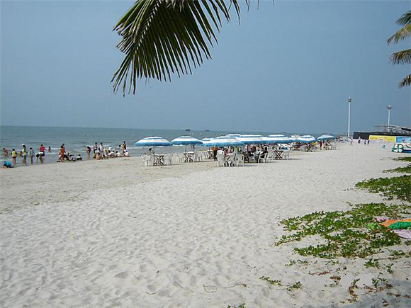 �����������V������������