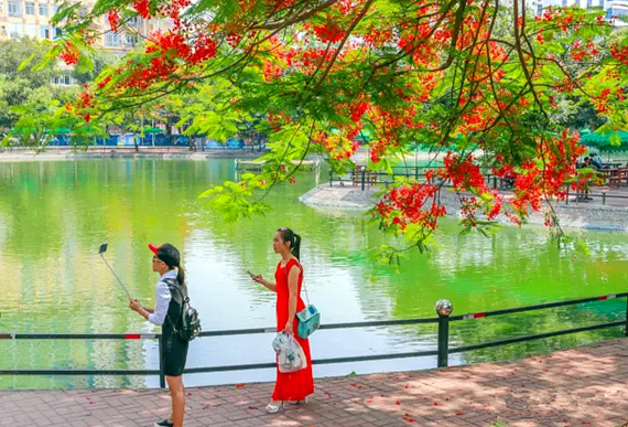 �����������V������������