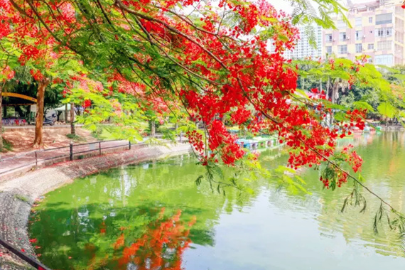 �������Σ��V������������