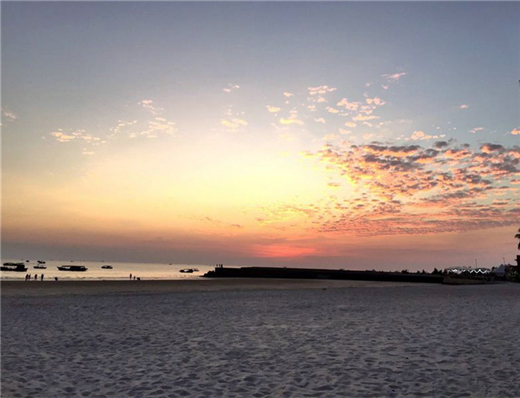 ���ލu�������V������������