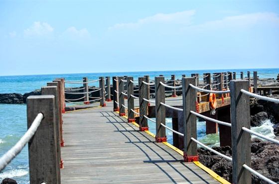 �������Σ����ލu���V������������