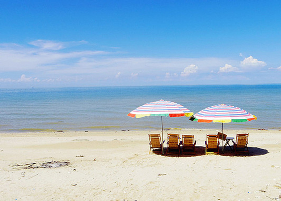 �������������ލu���V������������