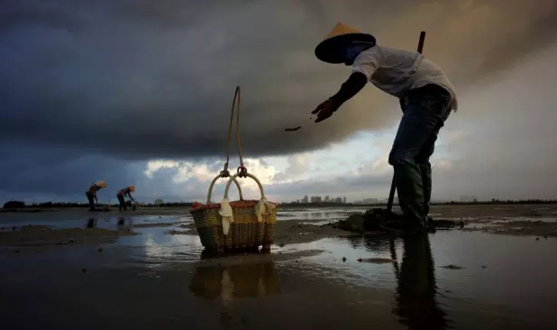 �����������V������������