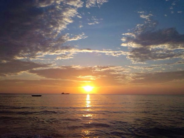 �����������V������������